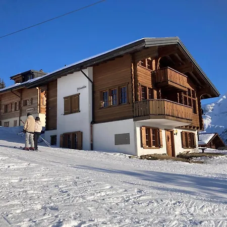 Pulsatilla Daire Rosswald